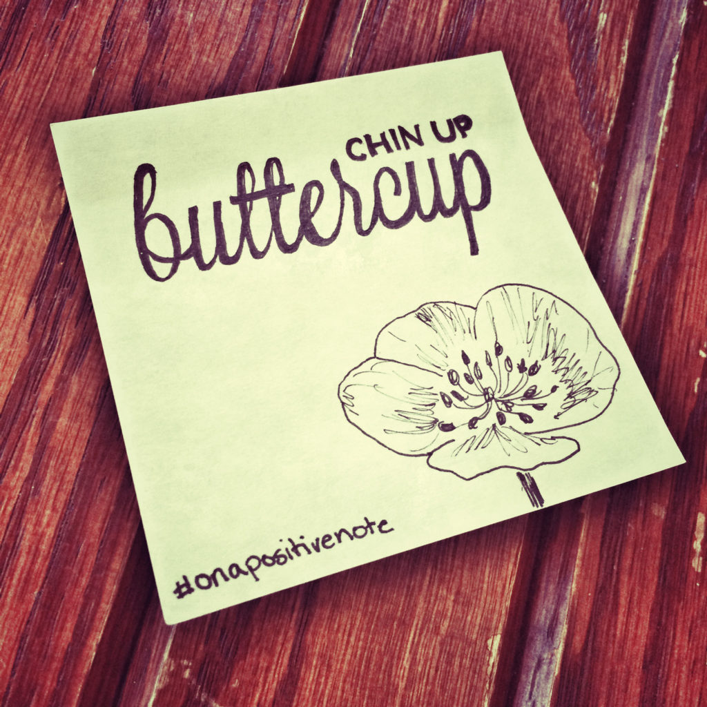 "Chin up, buttercup" | #onapositivenote by Mary Fran Wiley
